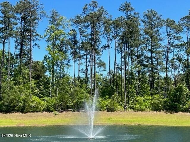 1558 E White Egret Ne. Bolivia, NC 28422