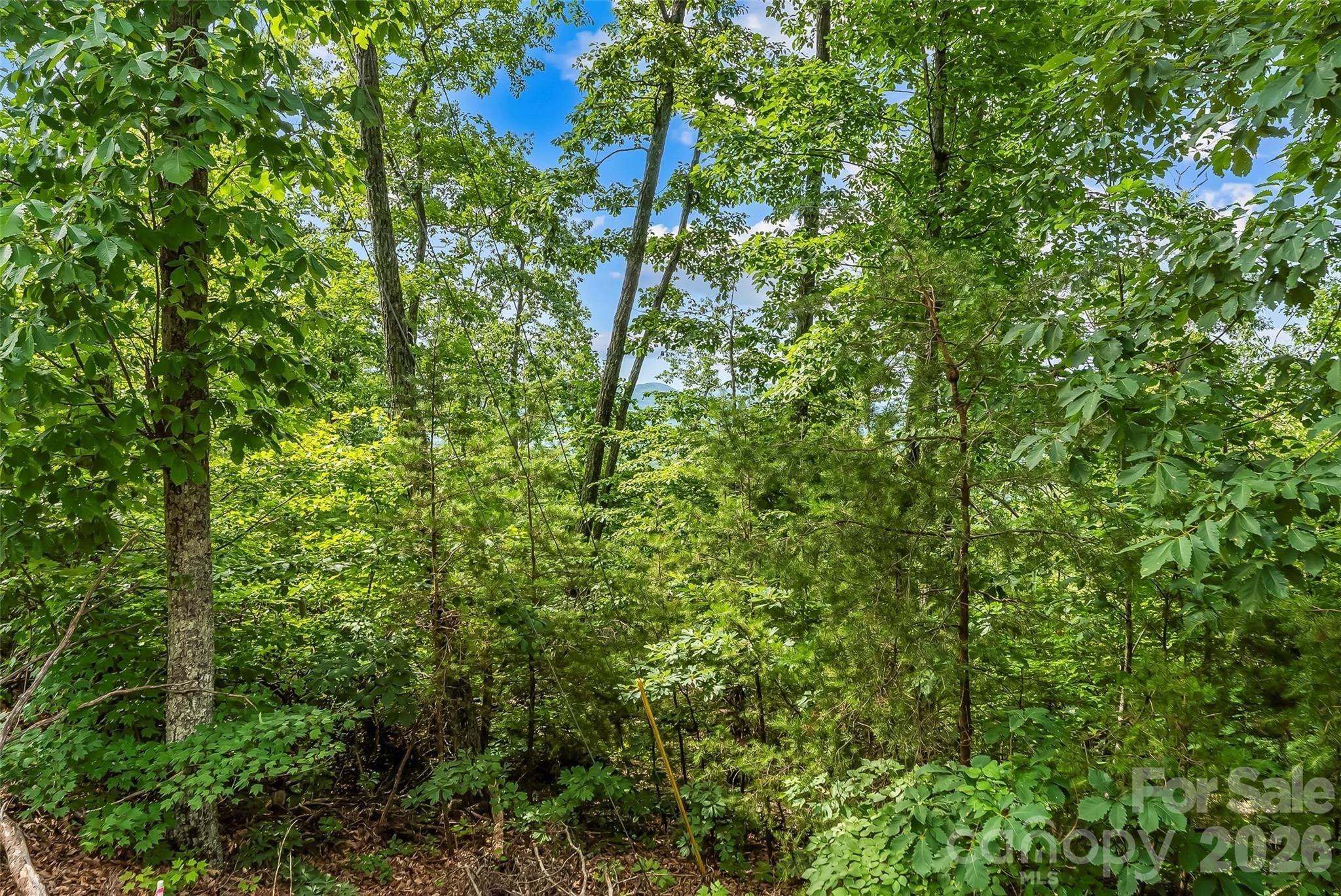 Brighton Drive. Bostic, NC 28018