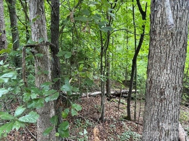 Chisholm Trail. Rutherfordton, NC 28139