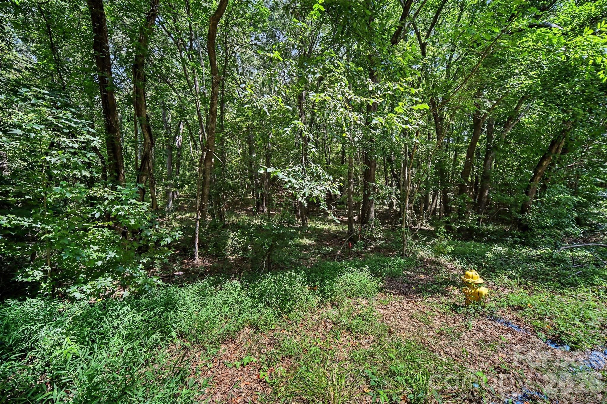 2402 Simfield Church Road. Matthews, NC 28105