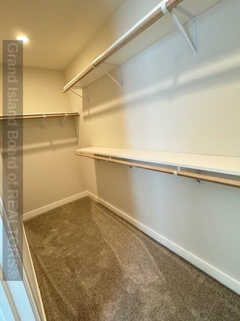 415 Olive. Hordville, NE 68846