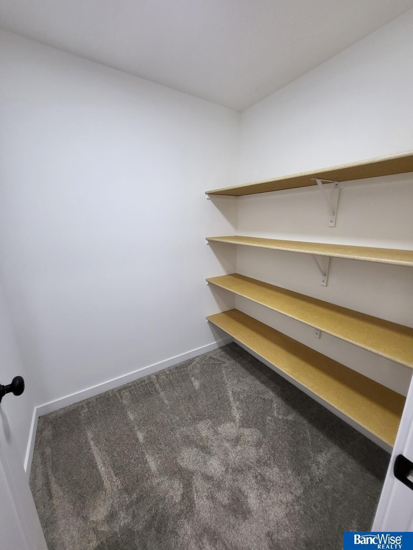 441 Half Moon Drive. Lincoln, NE 68527