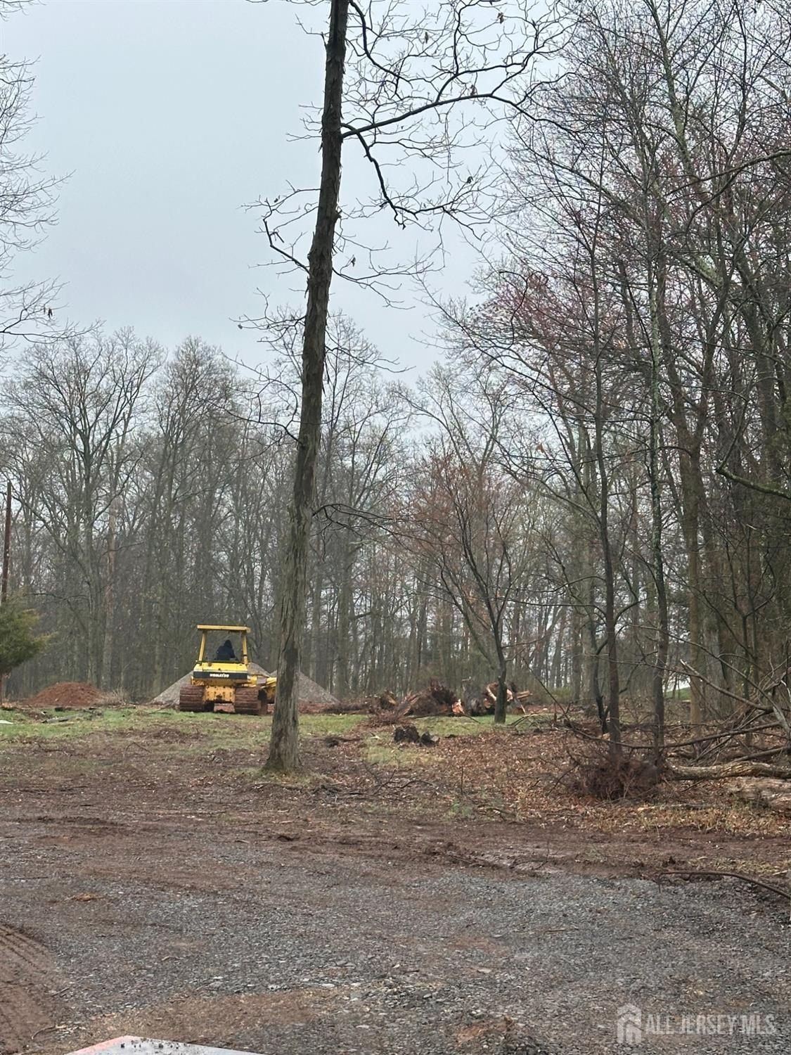 201 Wilson Road. Somerset, NJ 08873