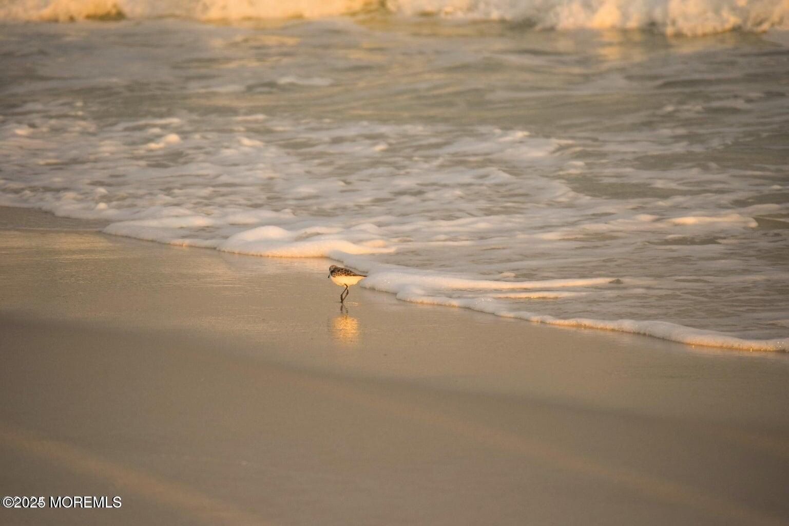 401 Boulevard Unit 202. Seaside Heights, NJ 08751