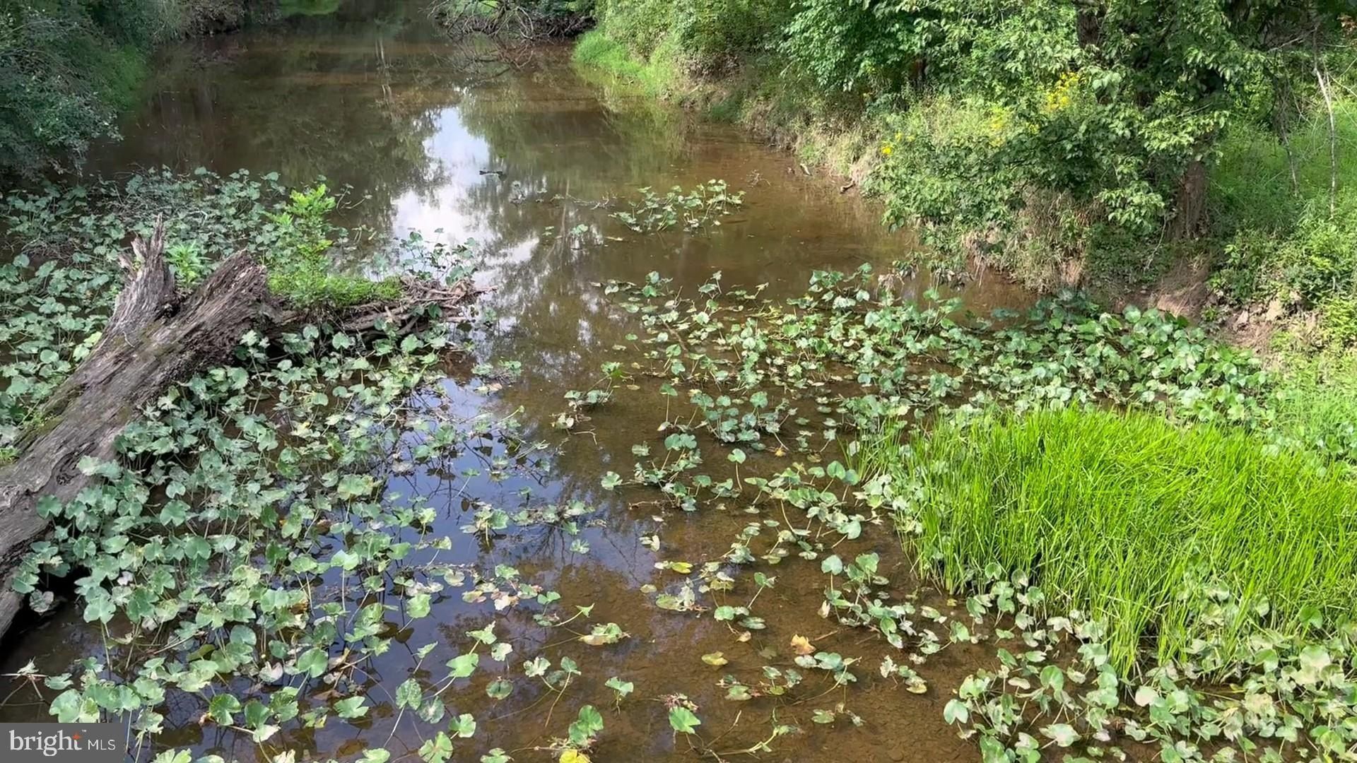 37 Barbertown Point Breeze Road. Frenchtown, NJ 08825