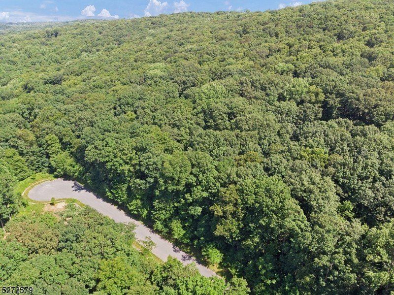 7 Settlers Ridge Ct. Long Valley, NJ 07853