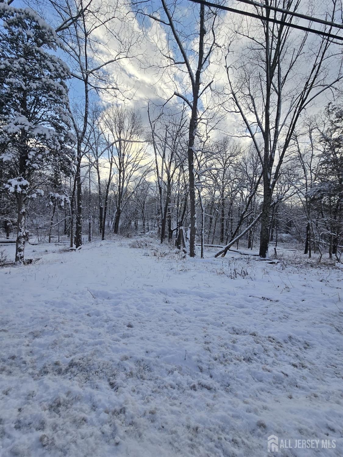 121 Bellemead Griggstown Road. Montgomery, NJ 08502