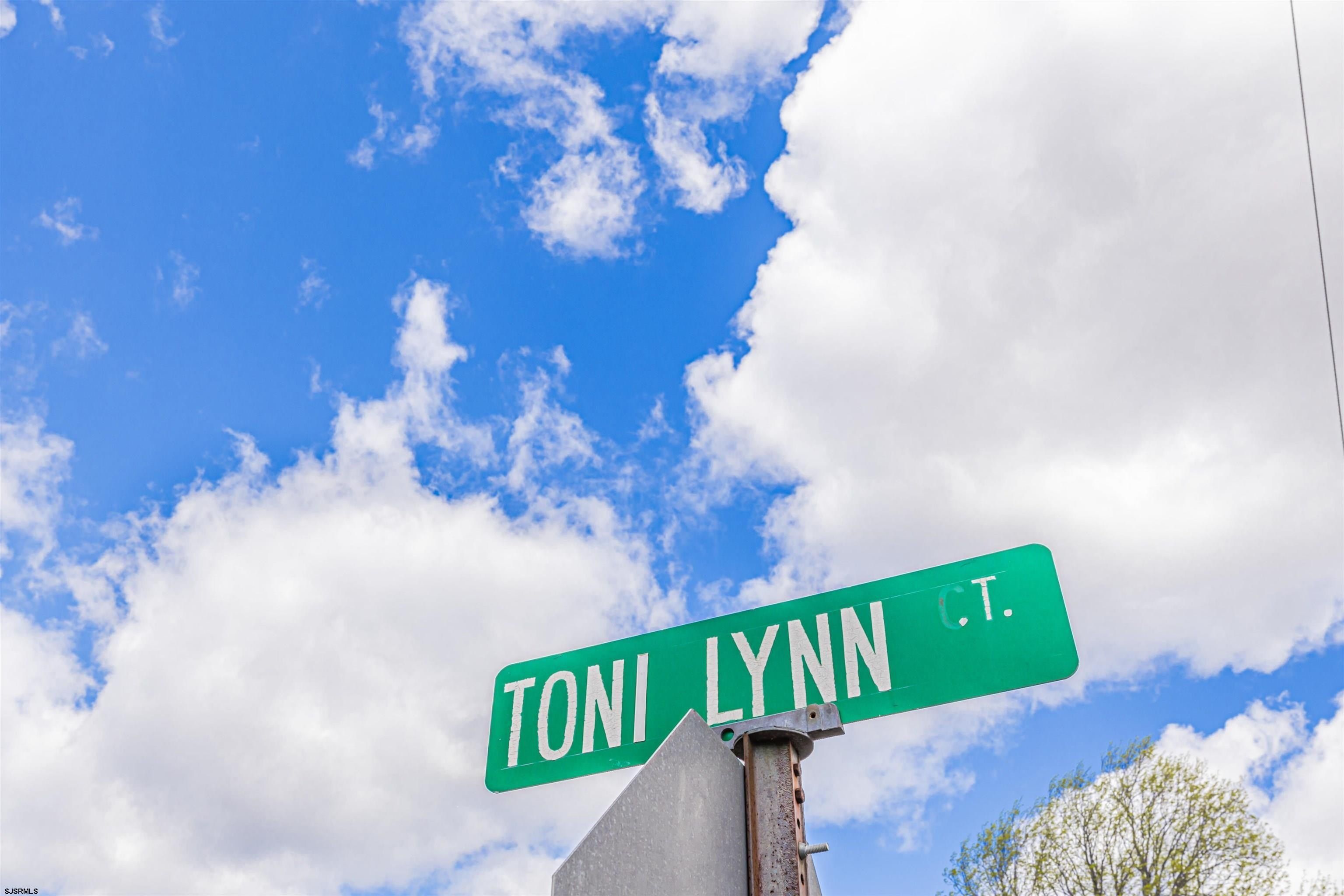 40 Toni Lynn Ct. Hammonton, NJ 08037