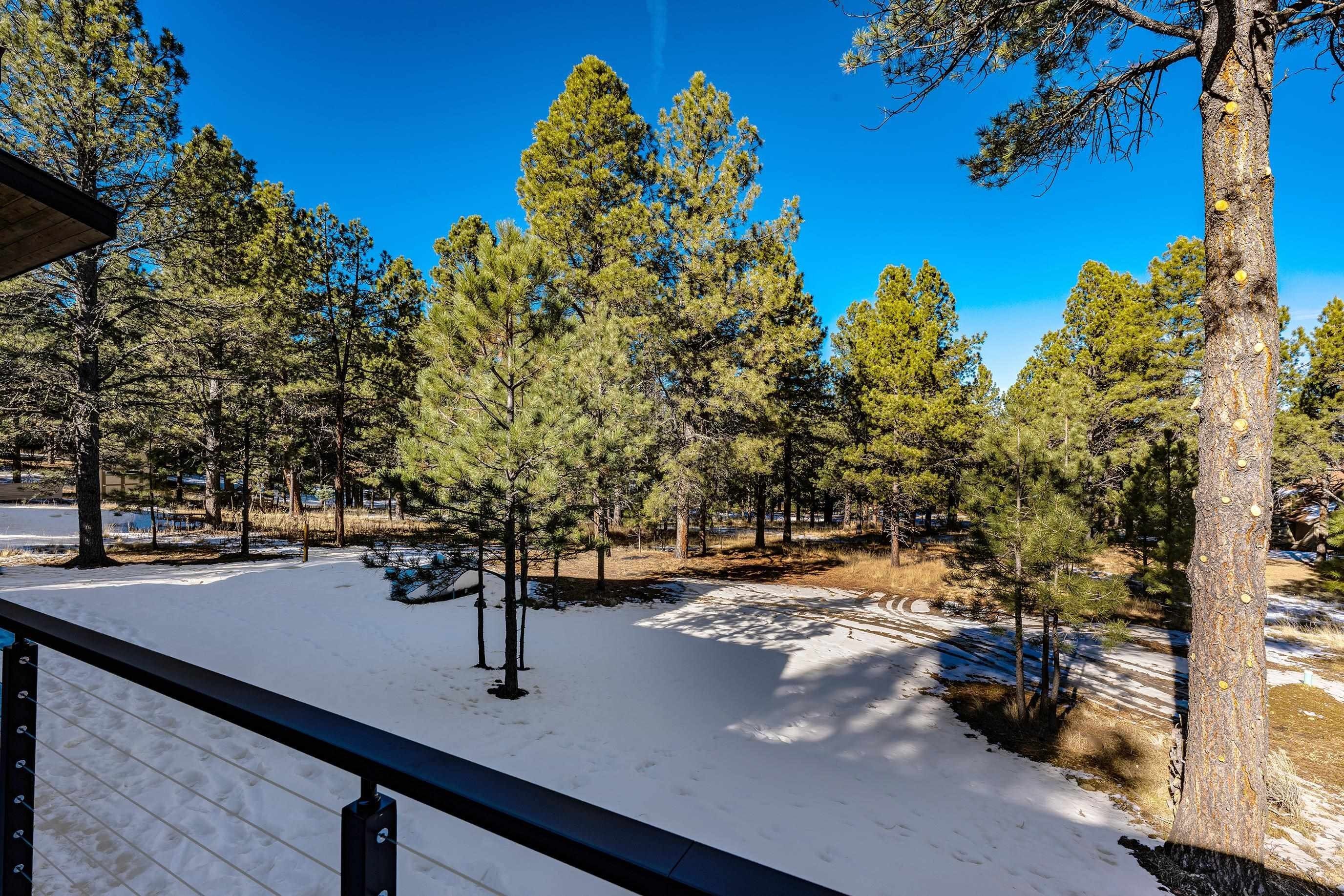 48 Valle Grande Tr N. Angel Fire, NM 87710