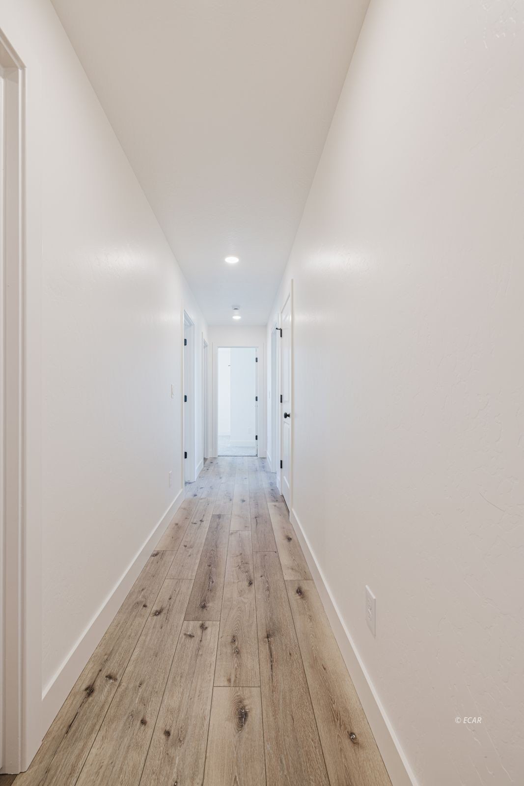 1287 Primrose Lane. Elko, NV 89801