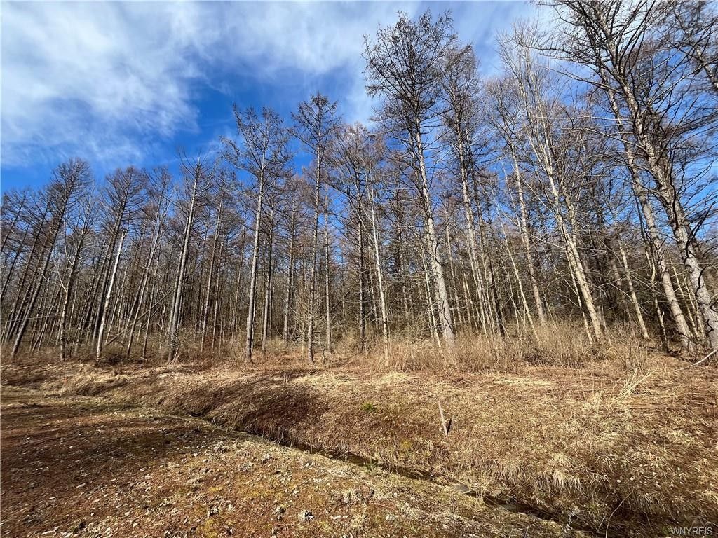 Lot 1 42 Degrees North. Ellicottville, NY 14731