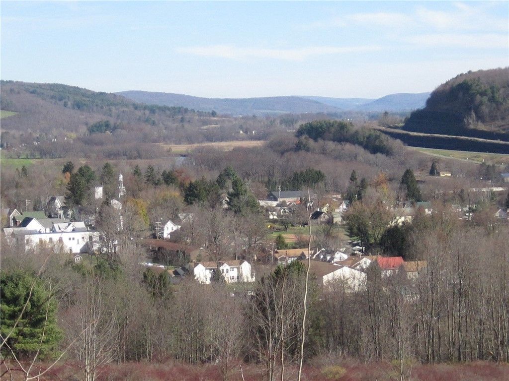 Tyler St And Cornell Drive. Bainbridge, NY 13733