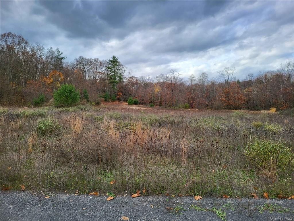 0 Ashley Drive  Lot 4. Rosendale, NY 12472