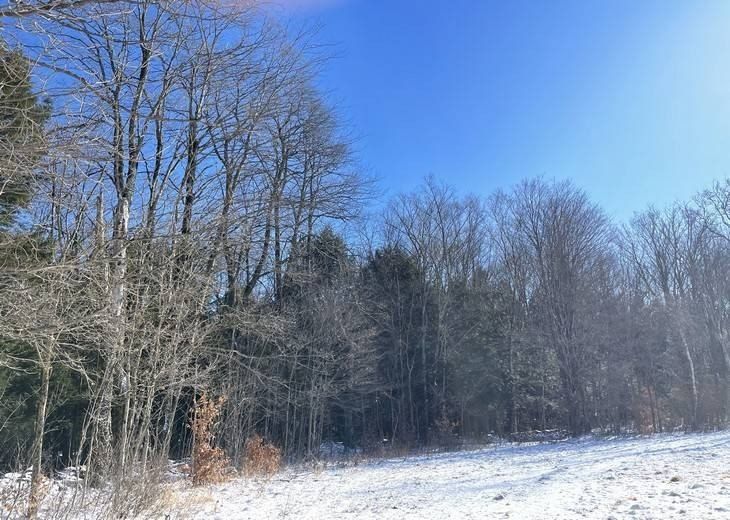 11116 Van Buren Rd. Westdale, NY 13483