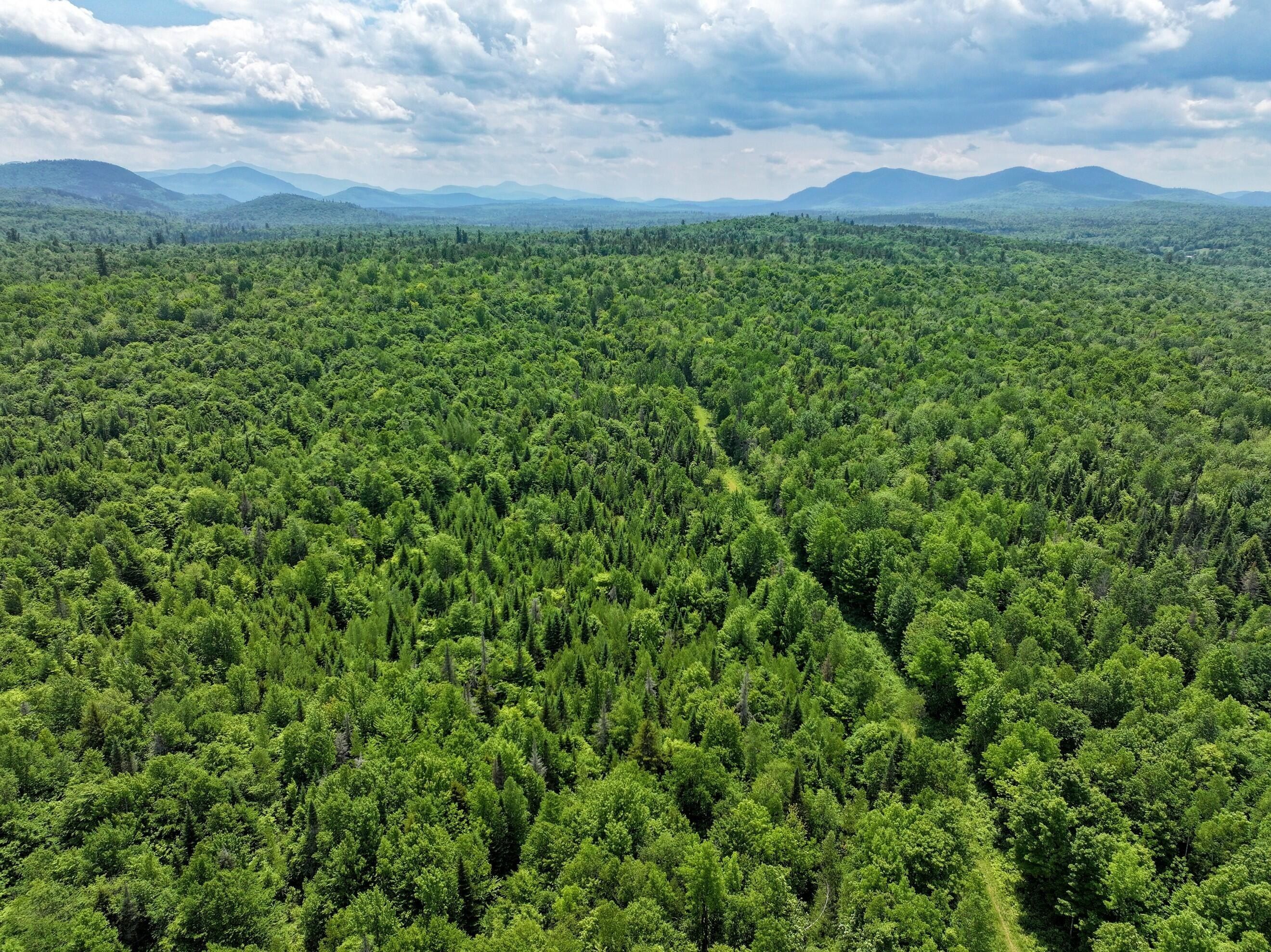 733 Ore Bed Rd. Au Sable Forks, NY 12912