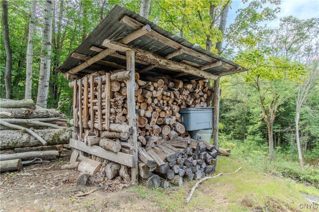 672 Pinckney Road. Rodman, NY 13682