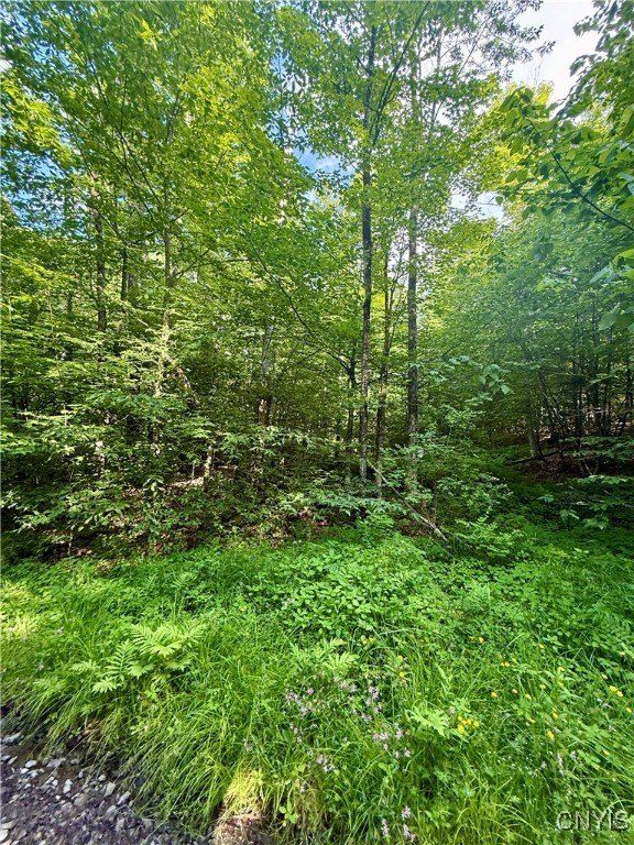 279 Wales Road. Sherburne, NY 13460