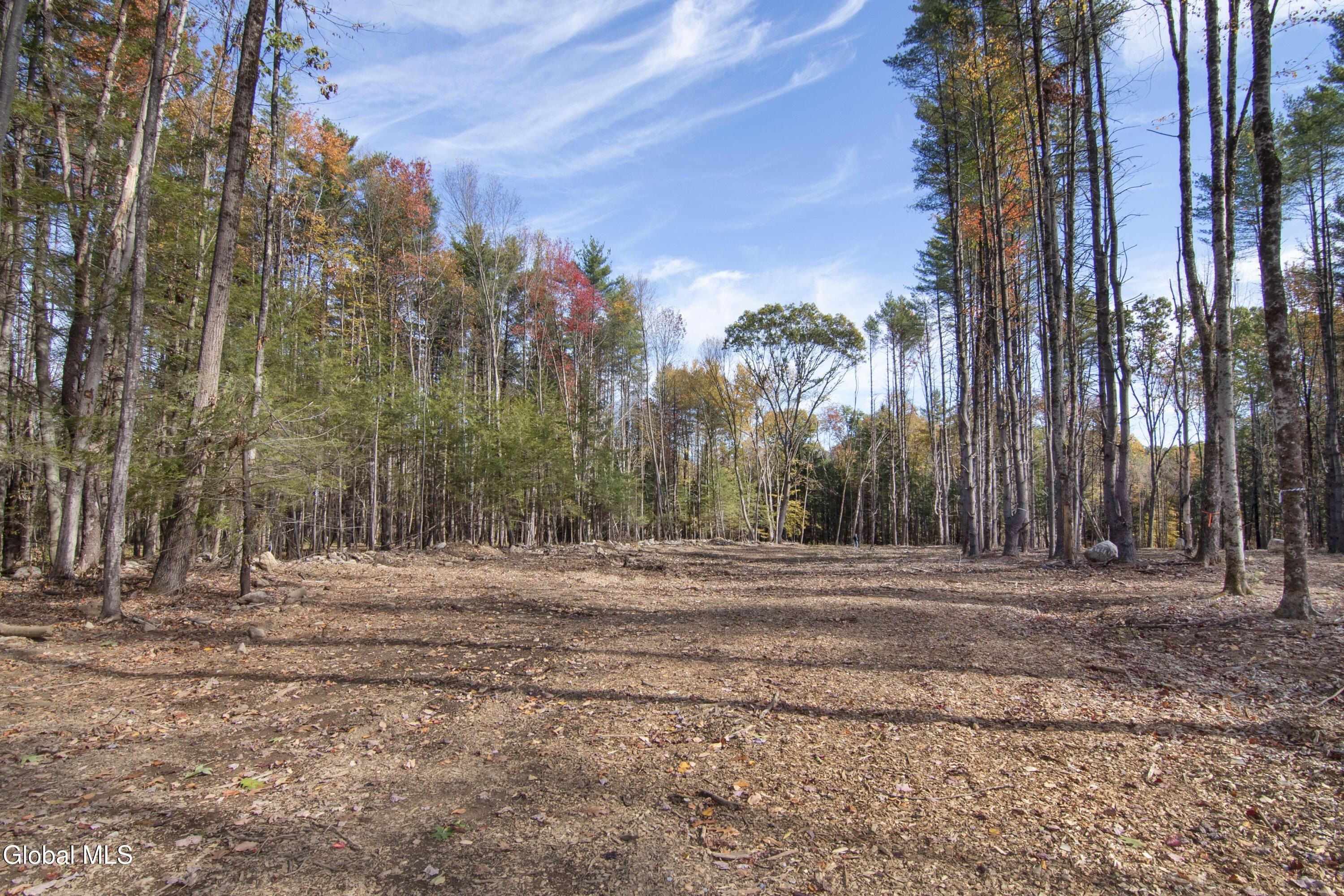 119 Sand Hill Road. Greenfield Center, NY 12833