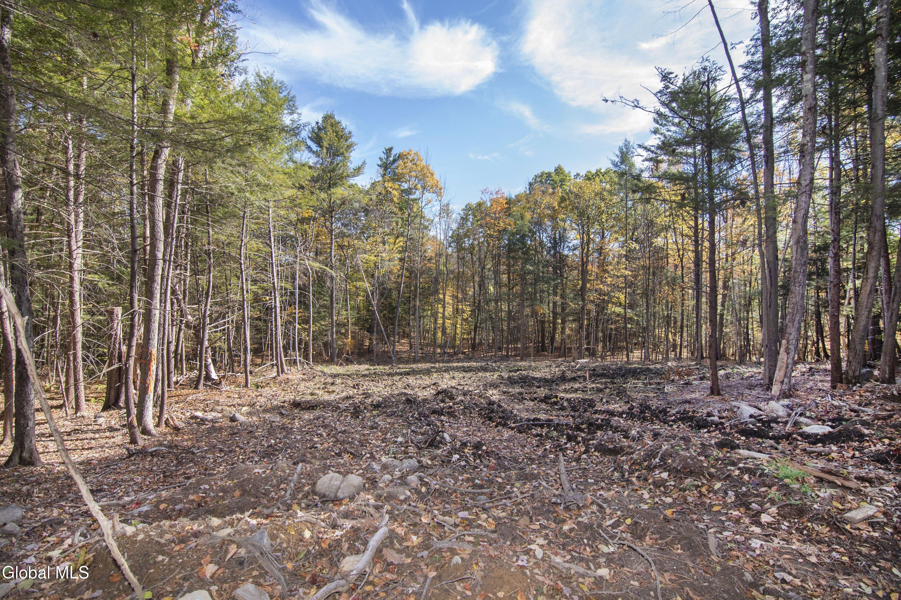 103 Sand Hill Road. Greenfield Center, NY 12833