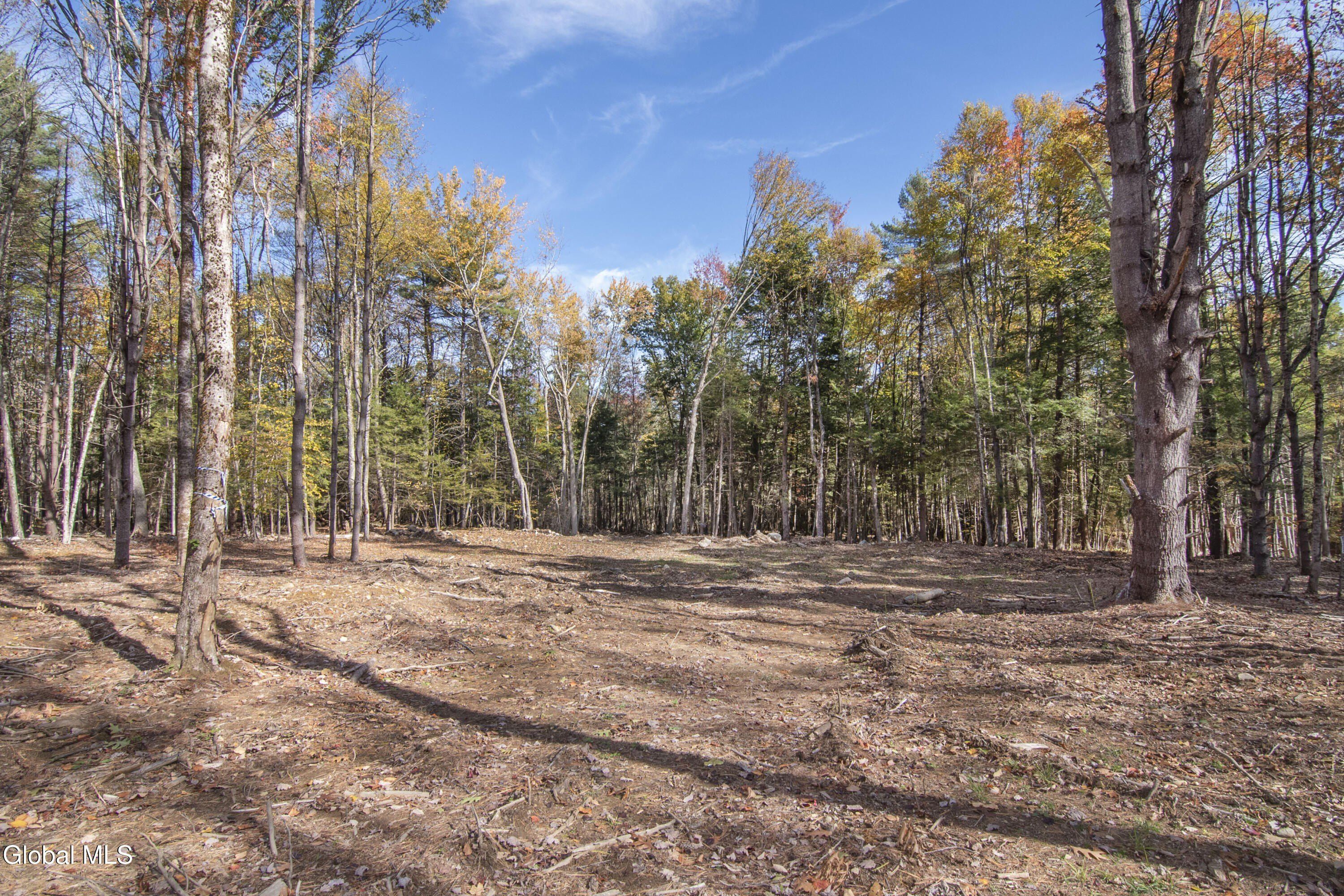 113 Sand Hill Road. Greenfield Center, NY 12833