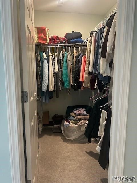 902 Carriage Lane. Buffalo, NY 14224