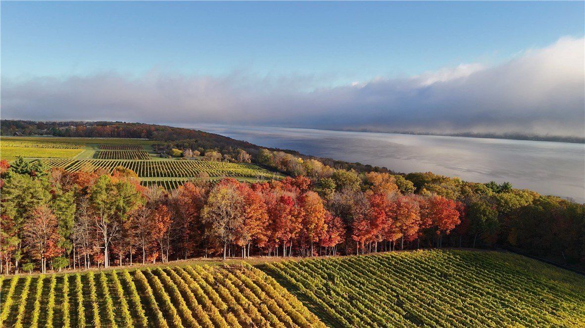 Elm Road Lot 2. Dundee, NY 14837