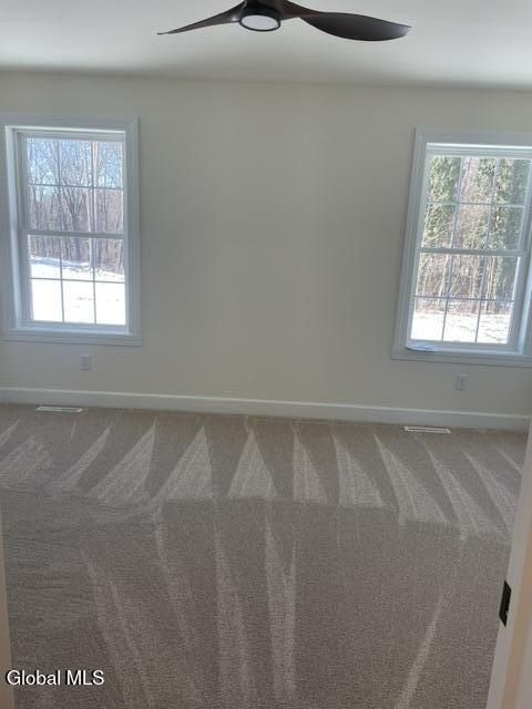 Champagne Drive. Castleton On Hudson, NY 12033