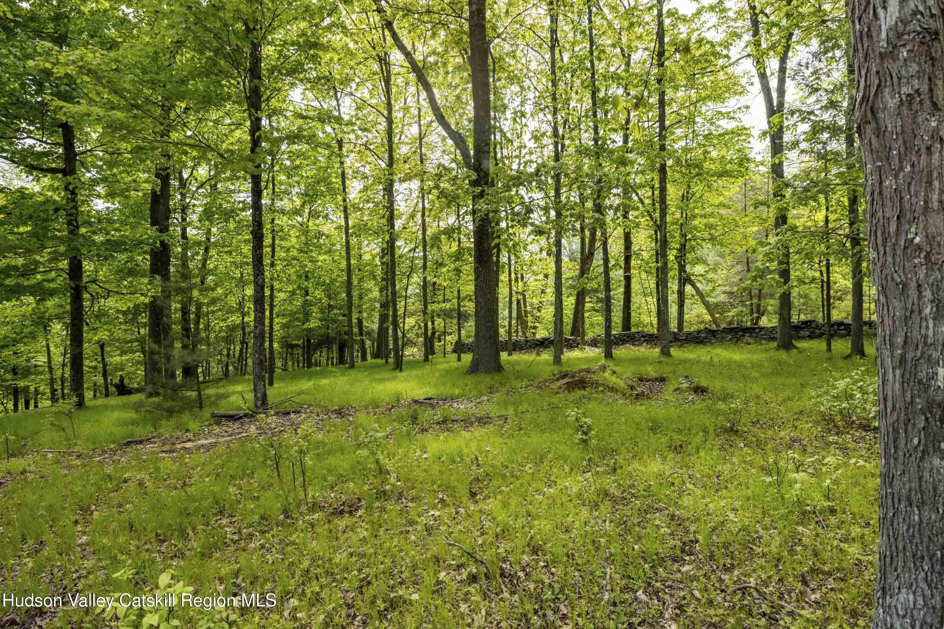 8 Forest Camp Road. Wawarsing, NY 12489