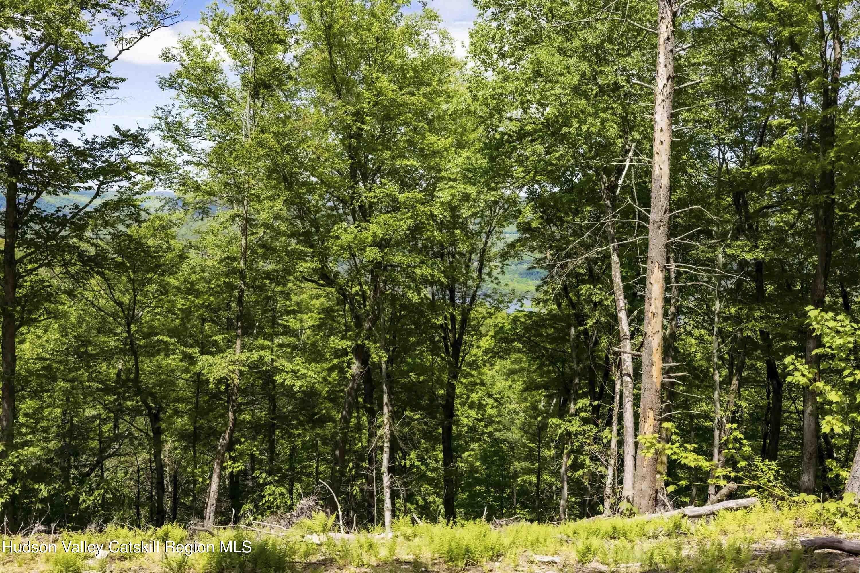 1 Red Rock Road. Wawarsing, NY 12489