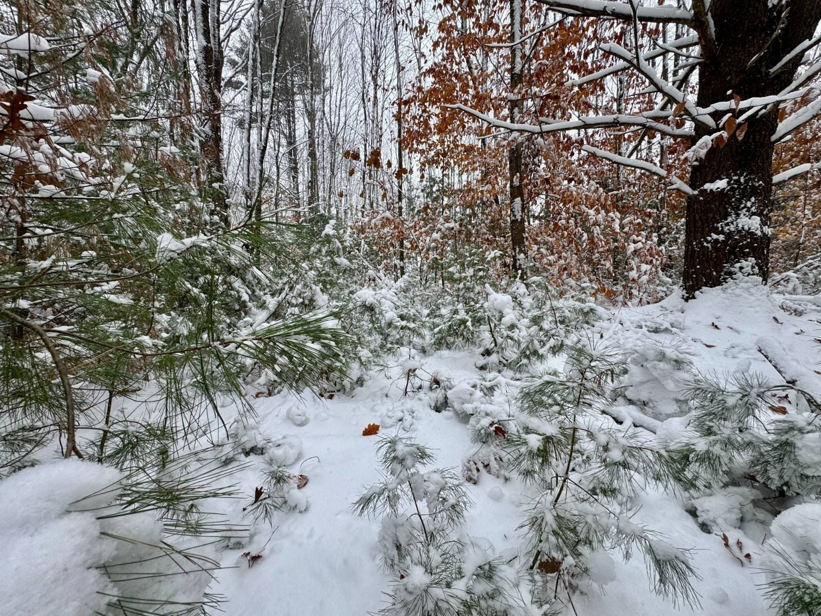 13 Littlefield Rd. Camden, NY 13316