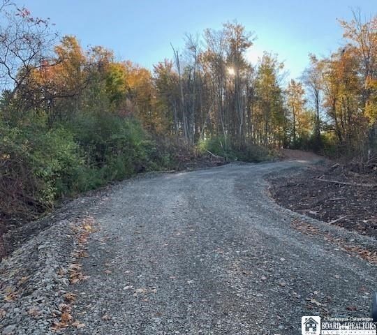 2612 Rt 394. Ashville, NY 14710