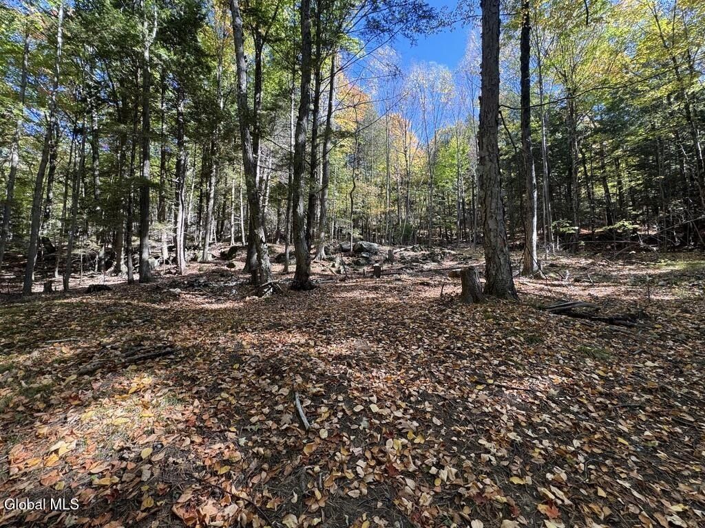 40 Constitution Way. Fort Ann, NY 12827