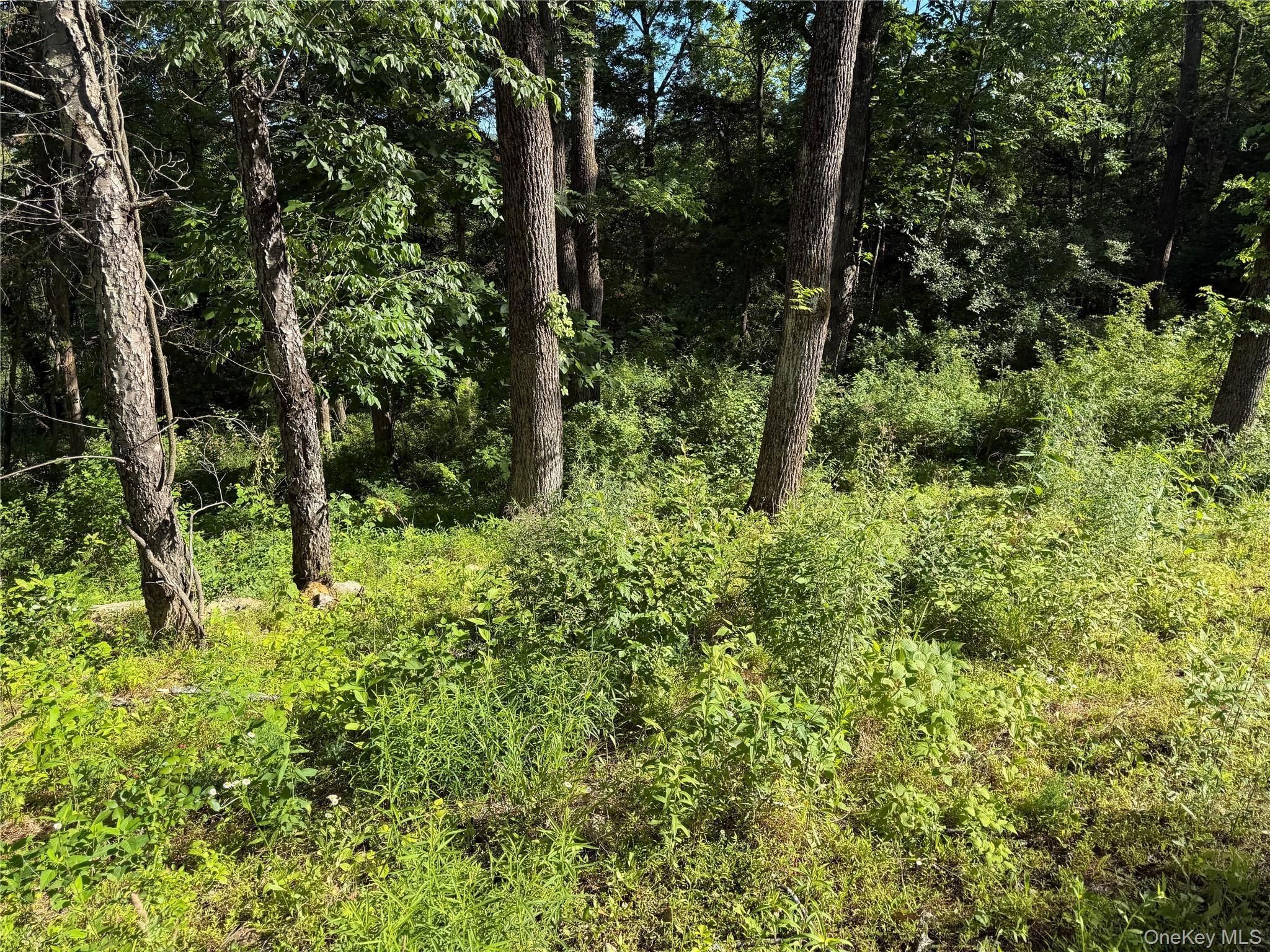 Walnut Hill Road. Warwick, NY 10990