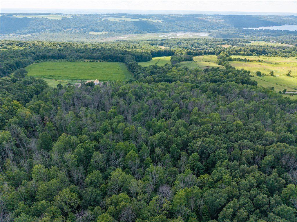 Stagecoach Road. Conesus, NY 14435