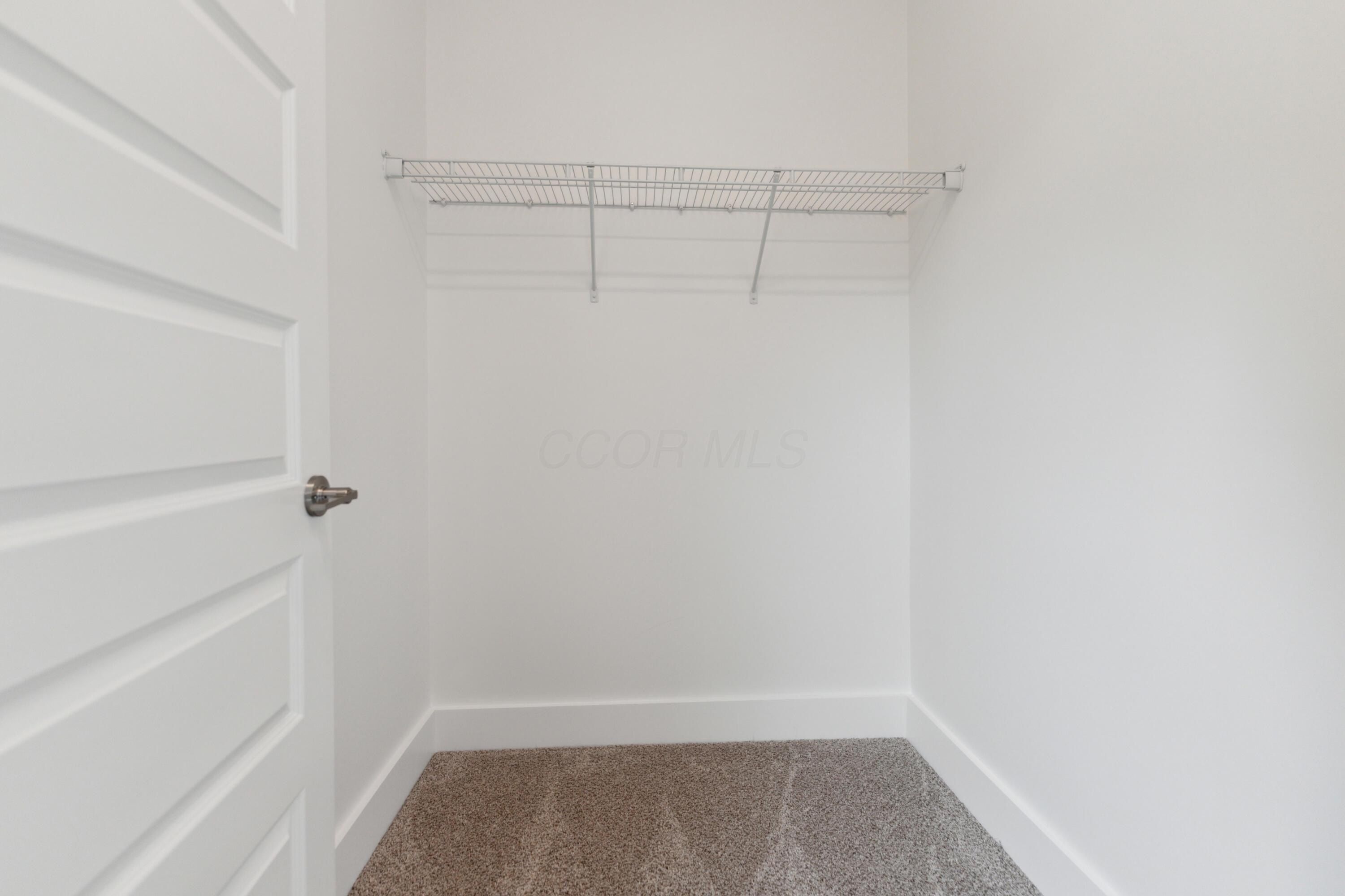 196 Belvidere Avenue. Columbus, OH 43223