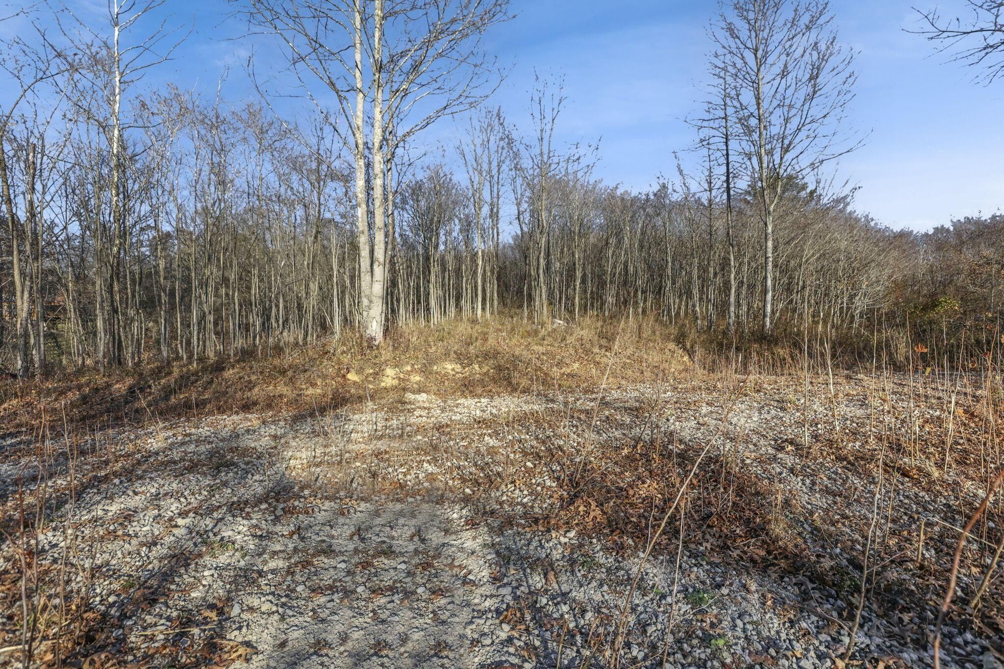 63993 Woodgeard Road. Creola, OH 45622