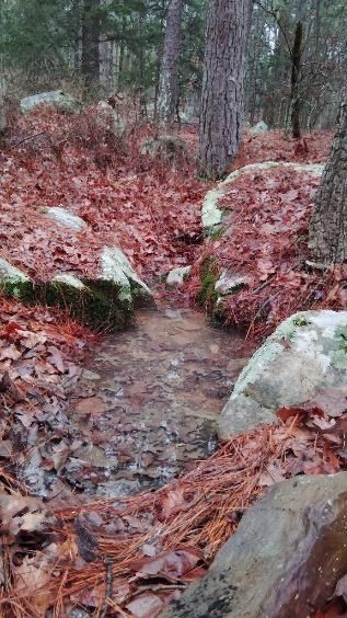 147A Sherman Road. Moyers, OK 74557