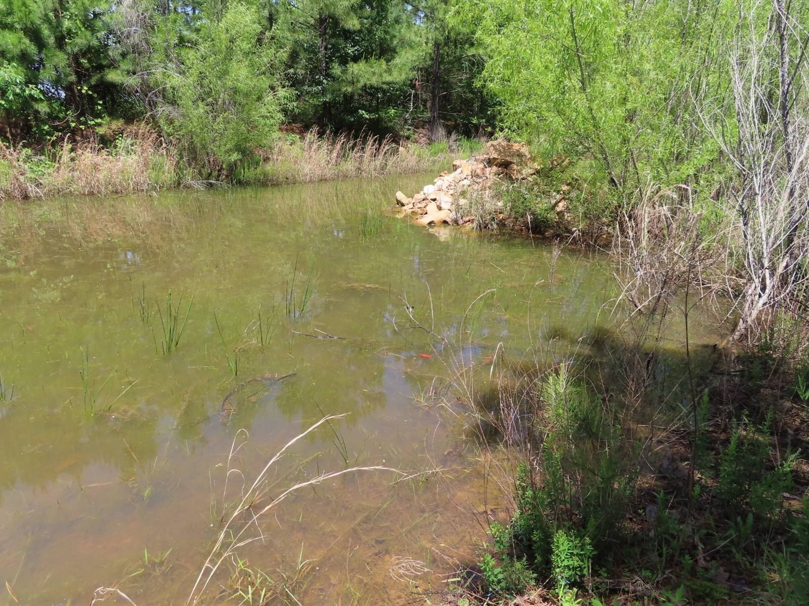 Tbd Panola Mtn. Panola, OK 74559