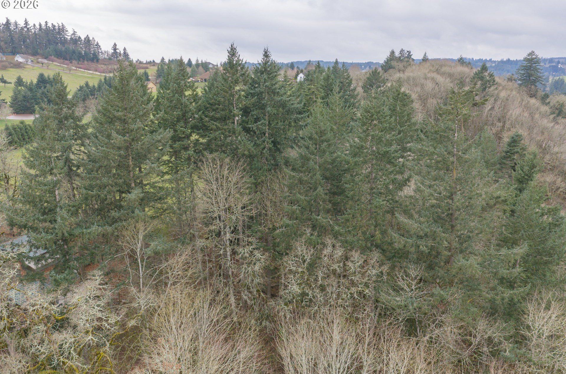 2468 Morrow Ct Nw. Salem, OR 97304