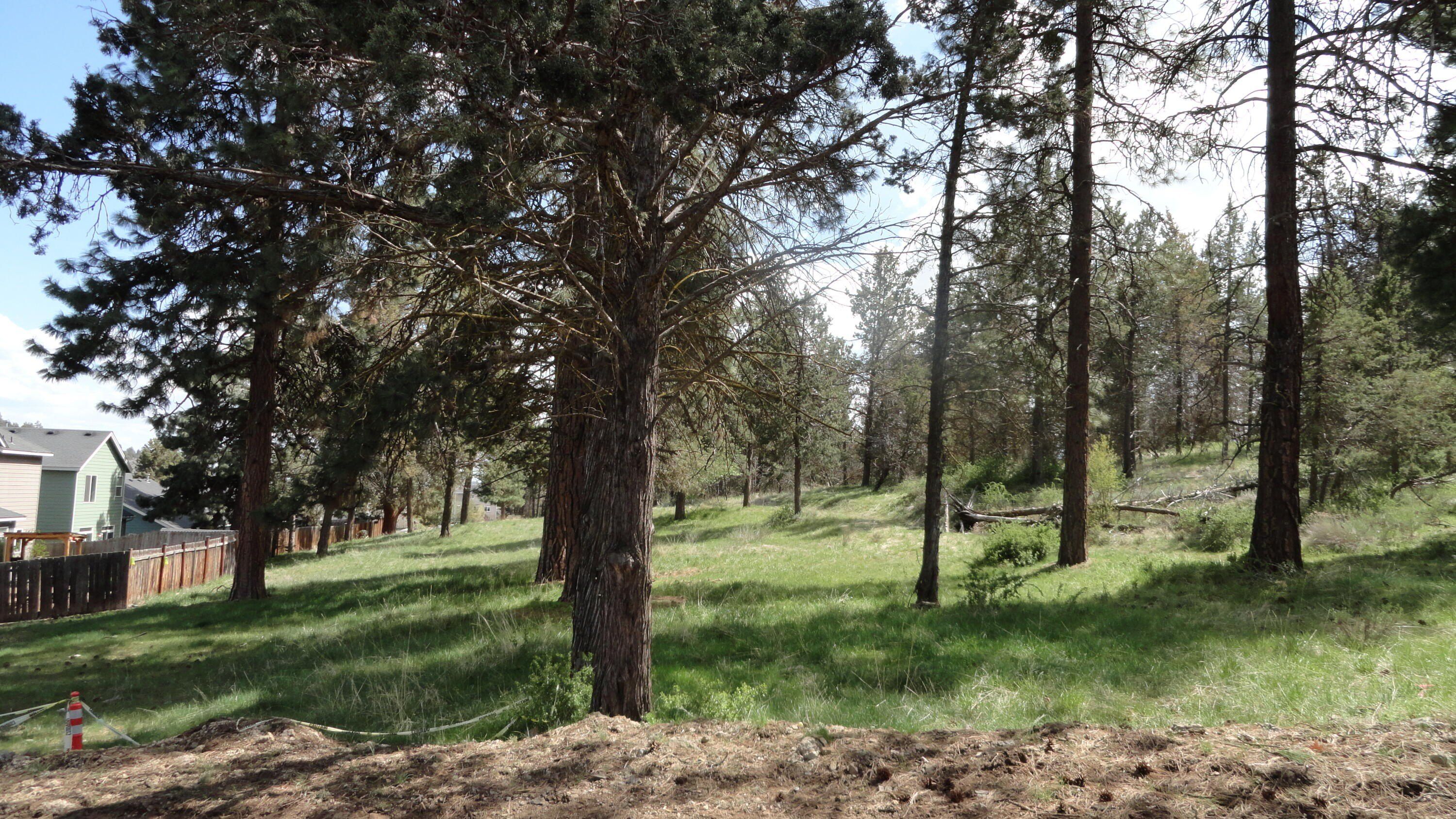 5218 Lyptus Lane. Klamath Falls, OR 97601