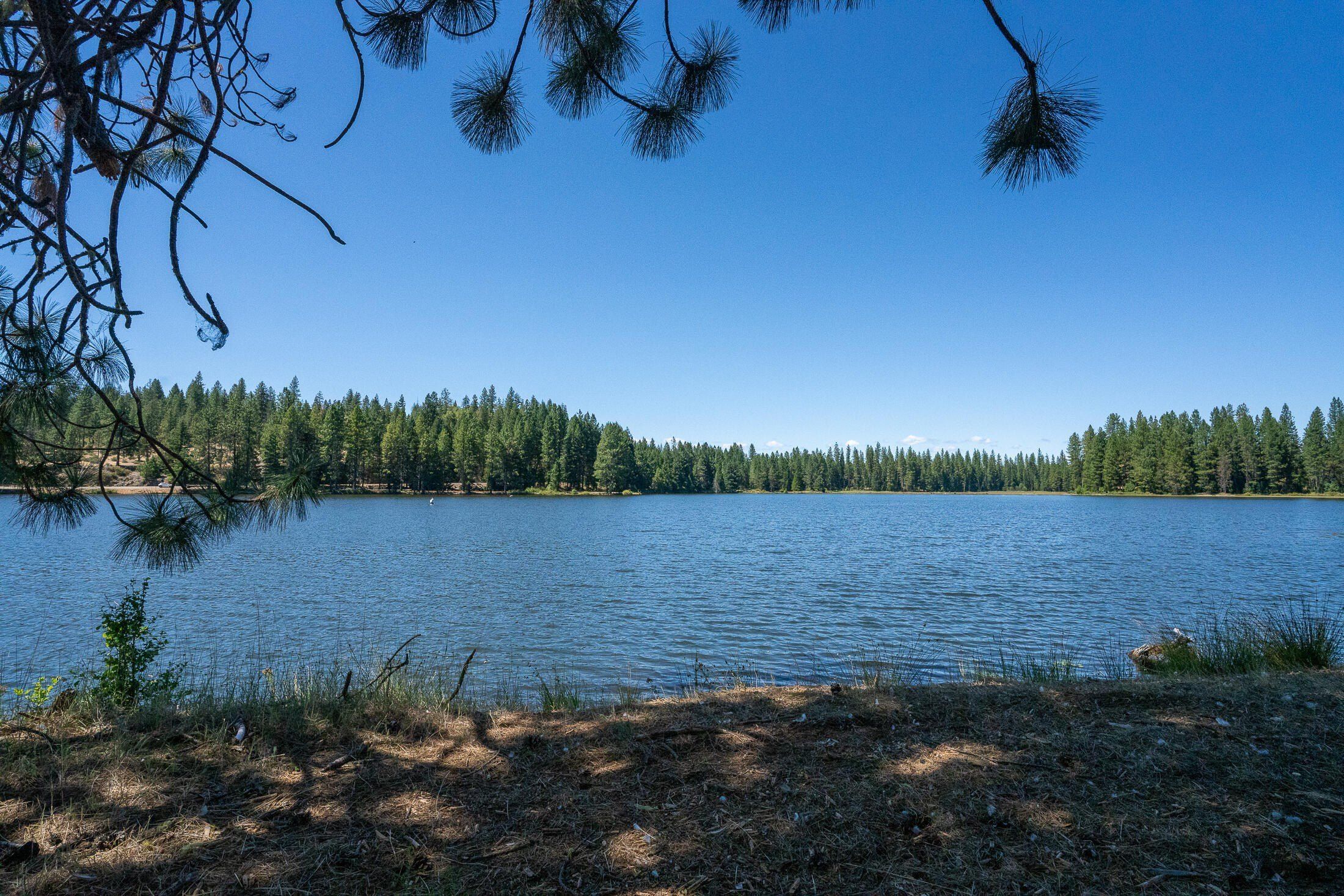 1240 Parsnip Loop. Butte Falls, OR 97522