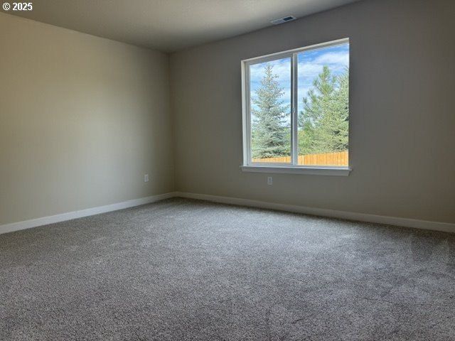 660 Se New Dream Ave. Irrigon, OR 97844