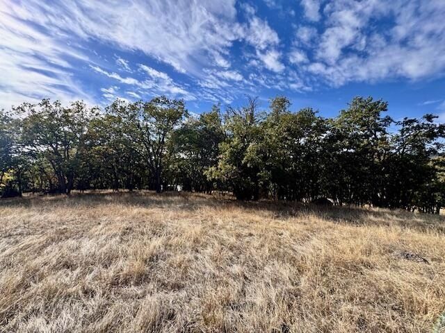 271 Cove Road. Ashland, OR 97520