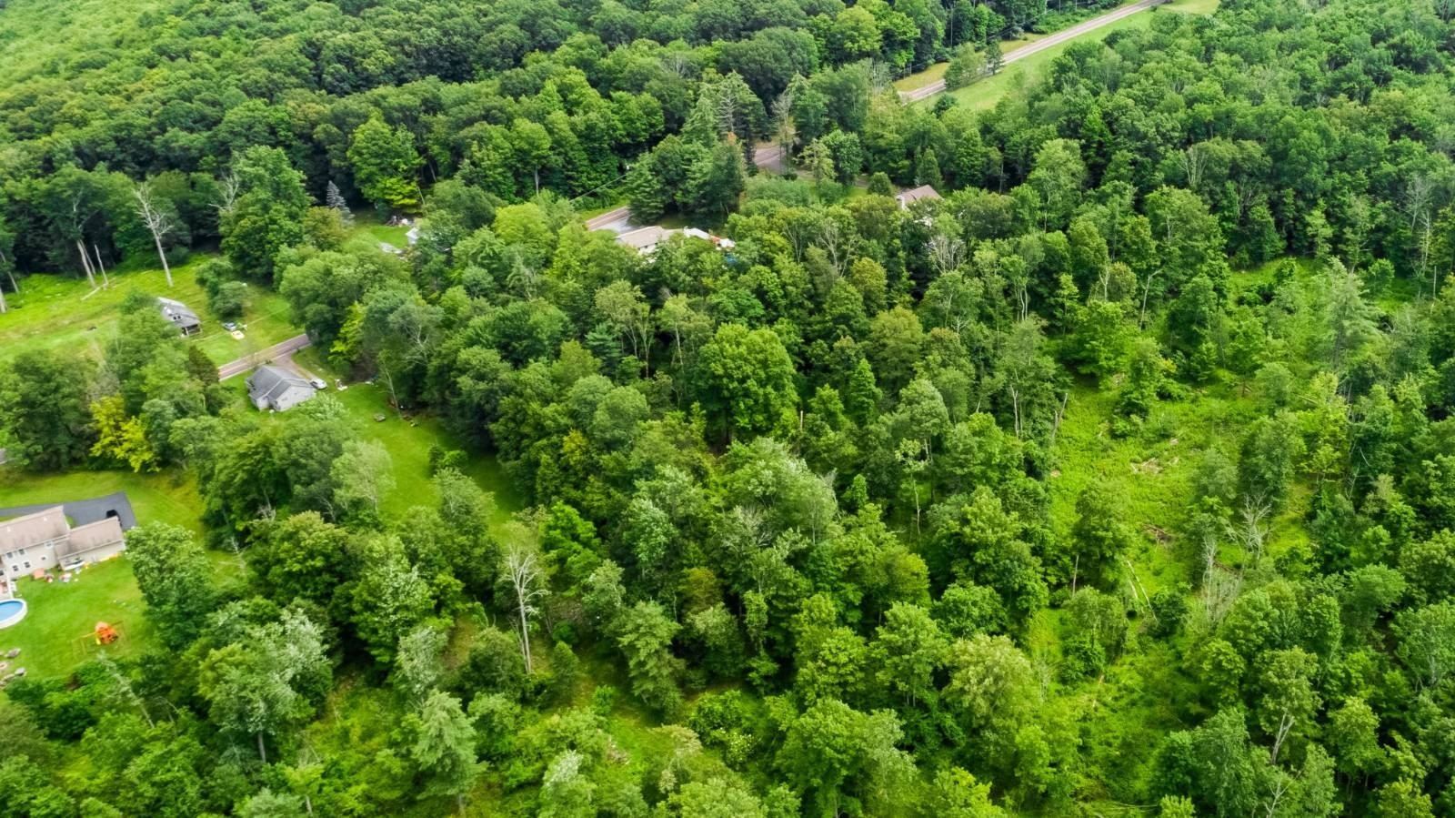 47 Bodle Road. Dallas, PA 18612