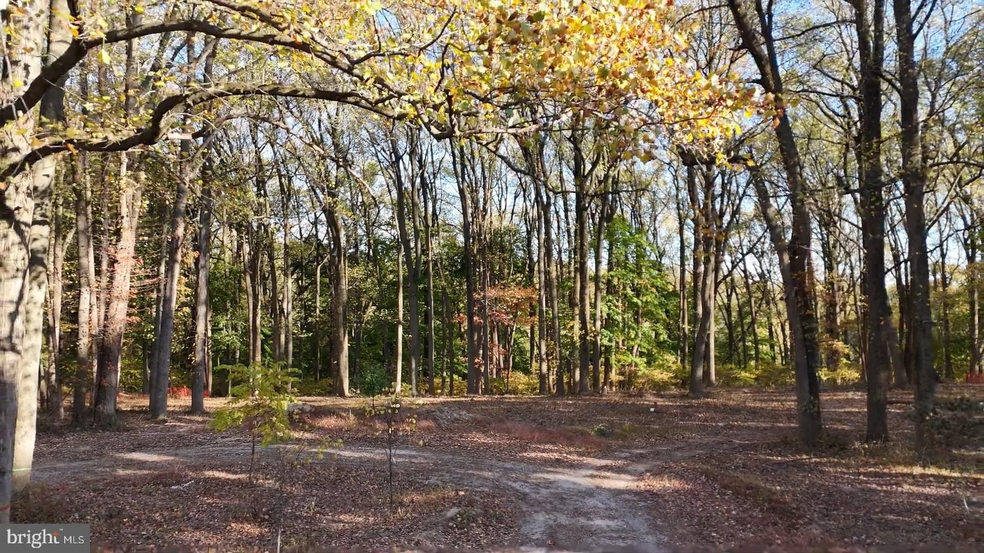 393 Port Royal Avenue. Philadelphia, PA 19128