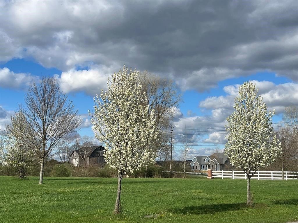 Shenango Drive. Edinboro, PA 16412