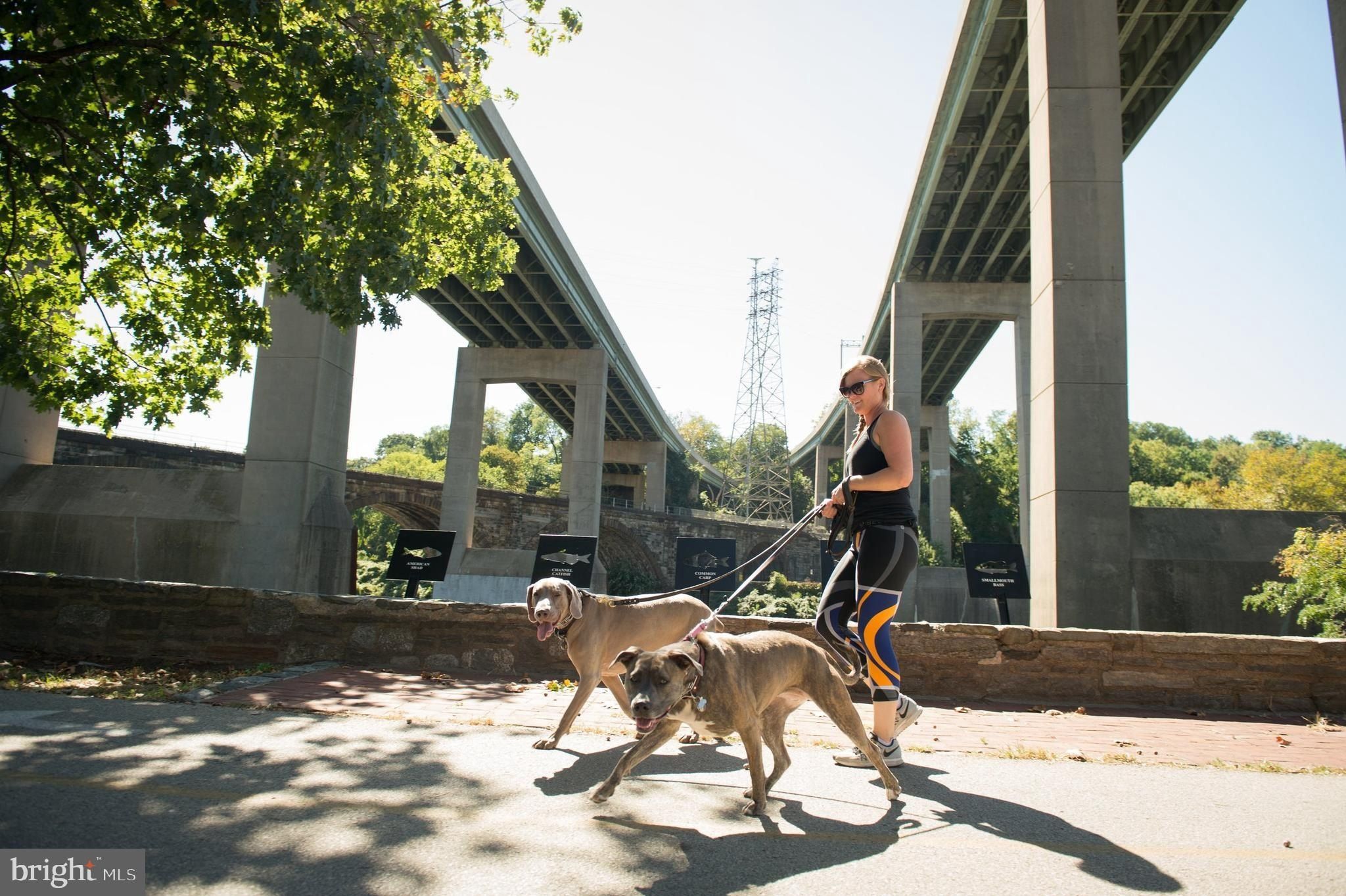 3411 W Lippincott Street. Philadelphia, PA 19132