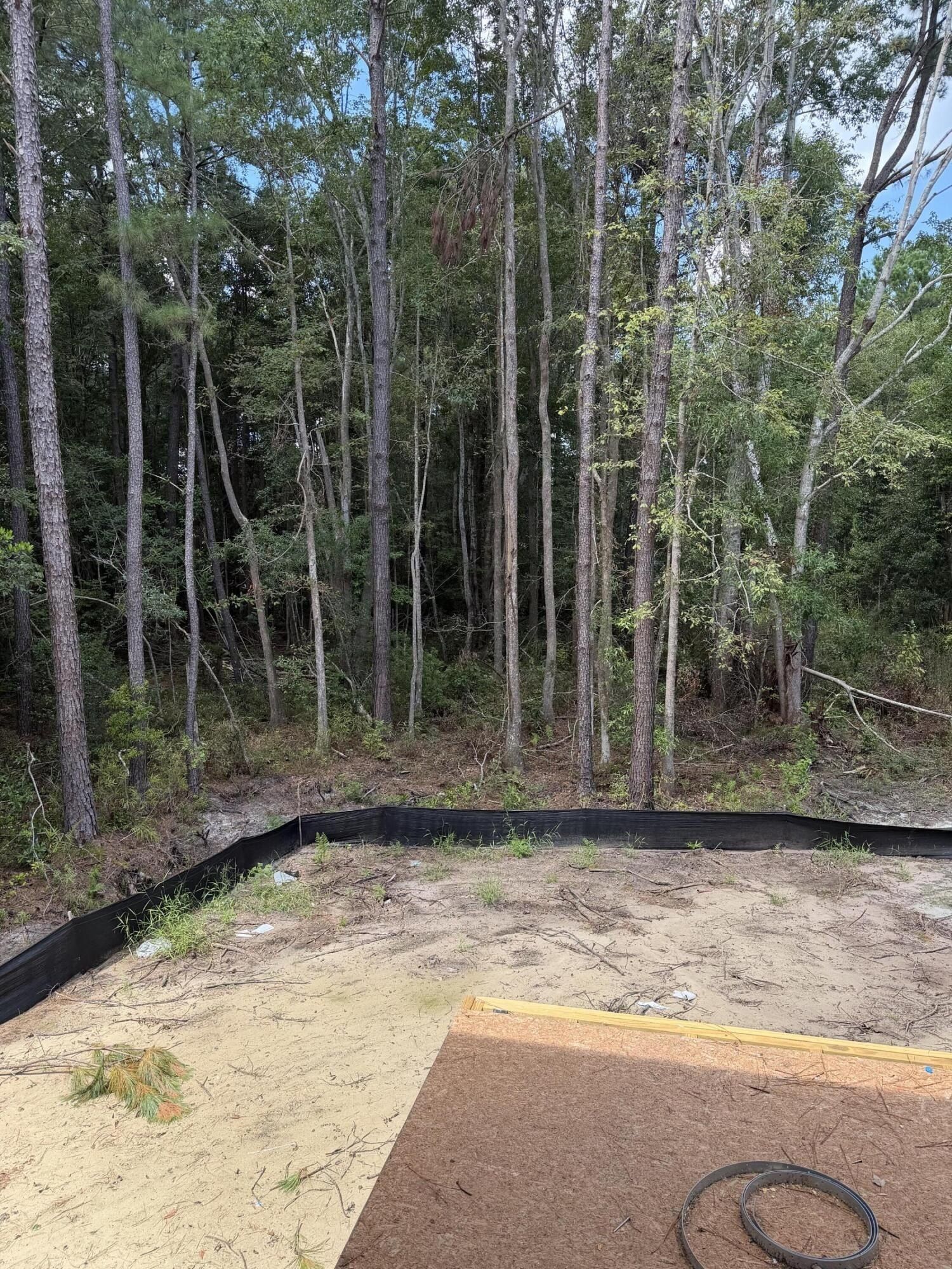 5370 Christian Dawn Drive. Huger, SC 29450