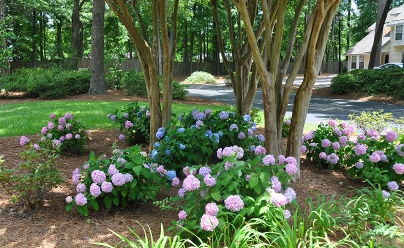 5323 Sawpit Circle. North Charleston, SC 29418