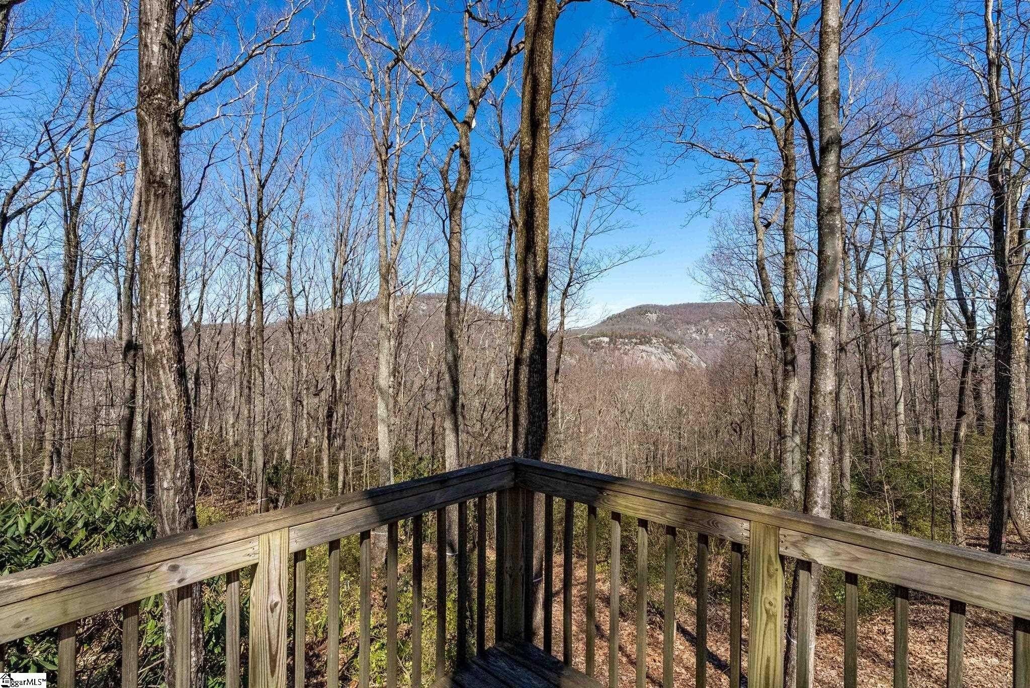 248 May Apple Way. Landrum, SC 29356